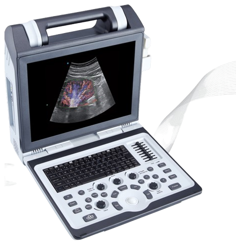 Apogee 2100 Portable